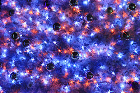 �����}�K��p�A���𑜓x�ʐ^�f��