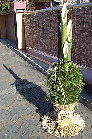 �������ʐ^