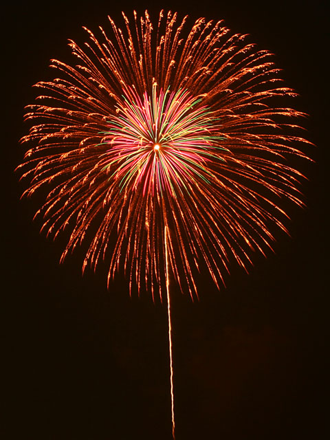 �ԉΎʐ^�f�ށ@�@���𑜓x�ʐ^�f��