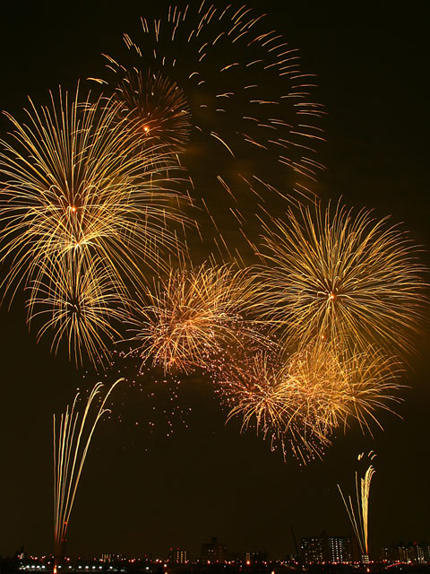 �ԉΎʐ^�f�ށ@�@���𑜓x�ʐ^�f��