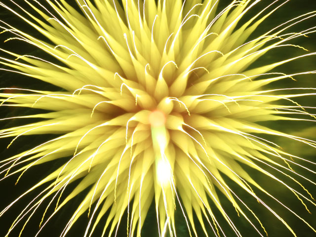 �ԉΎʐ^�f��