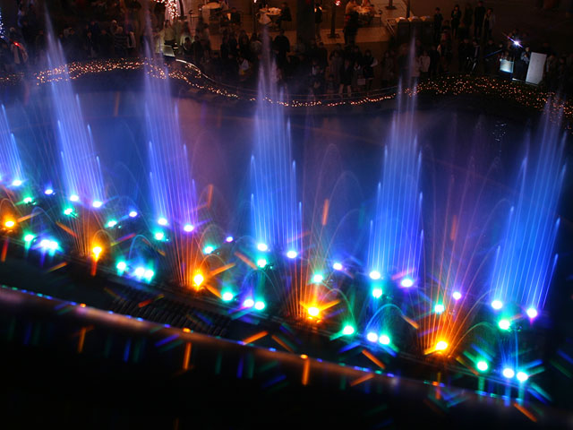 ���E�����ʐ^�f��