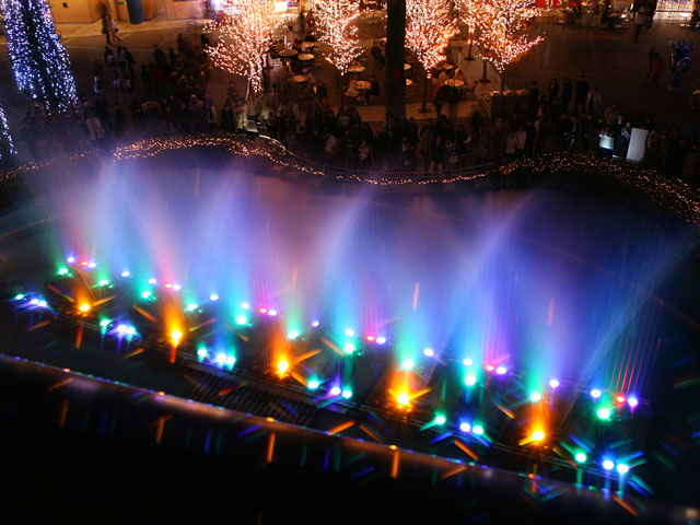 ���E�����ʐ^�f��