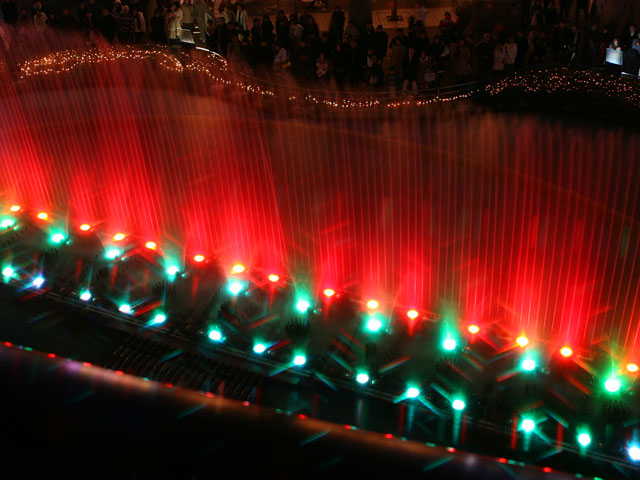 ���E�����ʐ^�f��