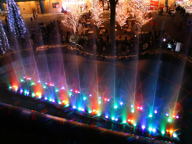 ���E�����ʐ^�f��