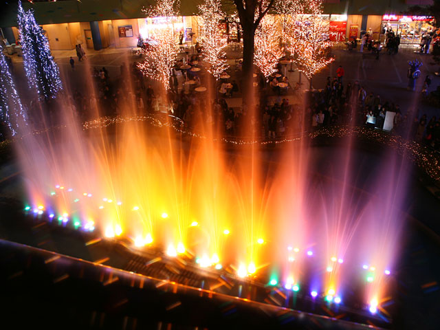 ���E�����ʐ^�f��