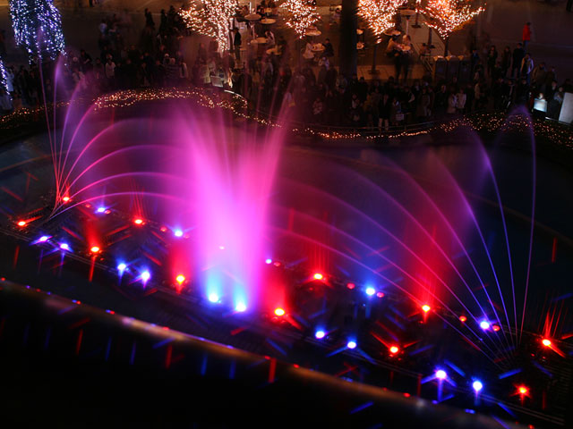 ���E�����ʐ^�f��