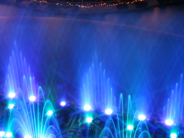 ���E�����ʐ^�f��