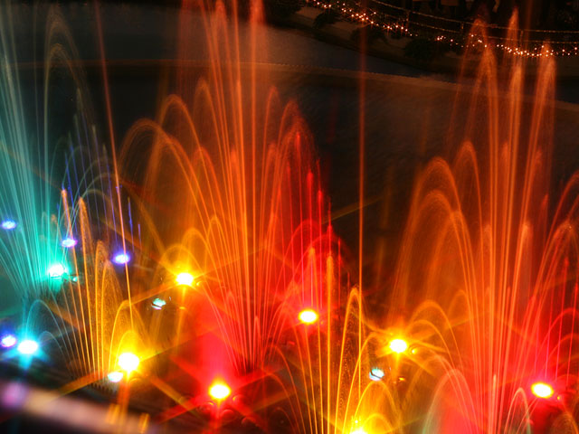 ���E�����ʐ^�f��