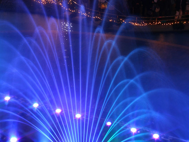 ���E�����ʐ^�f��