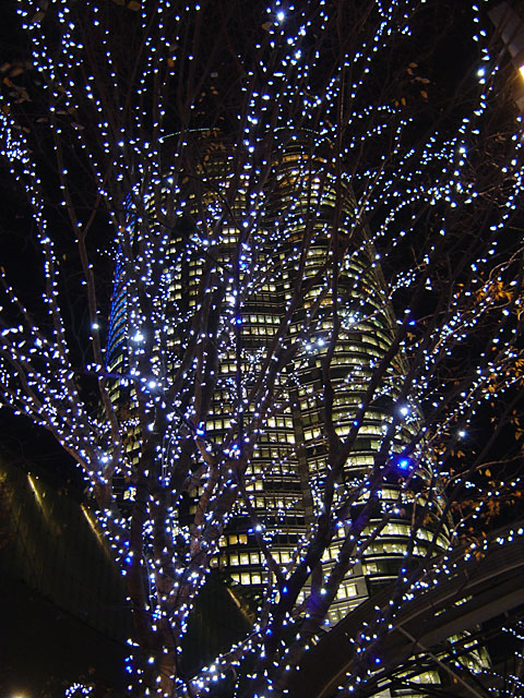 Xmas�@���𑜓x�ʐ^�f��