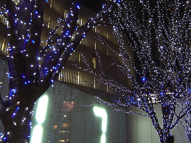 Xmas�@���𑜓x�ʐ^�f��