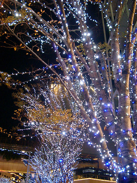 Xmas�@���𑜓x�ʐ^�f��