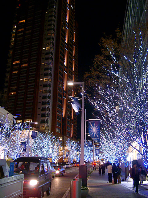 Xmas�@���𑜓x�ʐ^�f��