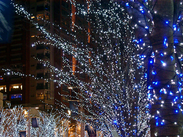 Xmas�@���𑜓x�ʐ^�f��