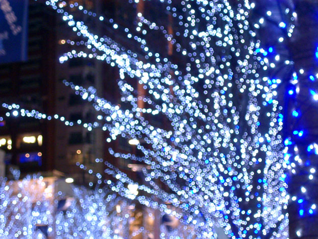 Xmas�@���𑜓x�ʐ^�f��