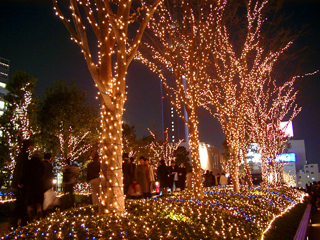 Xmas�@���𑜓x�ʐ^�f��