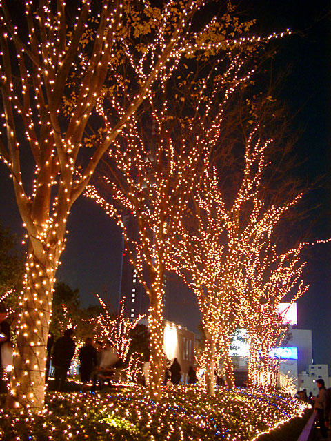 Xmas�@���𑜓x�ʐ^�f��