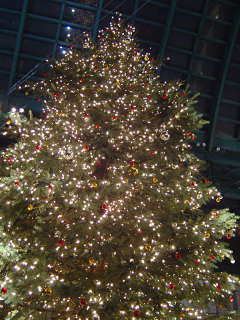 Xmas�@���𑜓x�ʐ^�f��