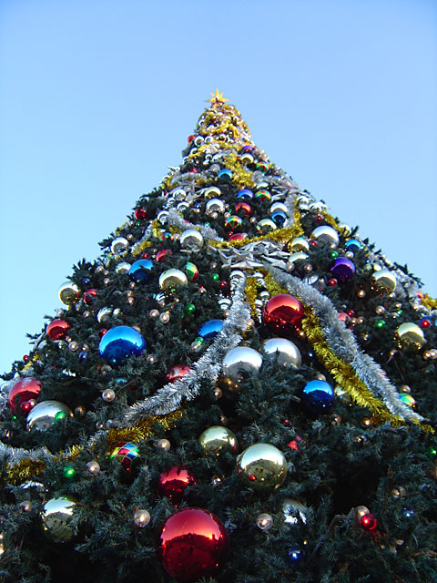 Xmas�@���𑜓x�ʐ^�f��