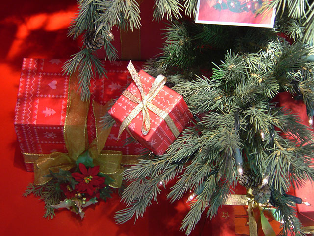 Xmas�@���𑜓x�ʐ^�f��