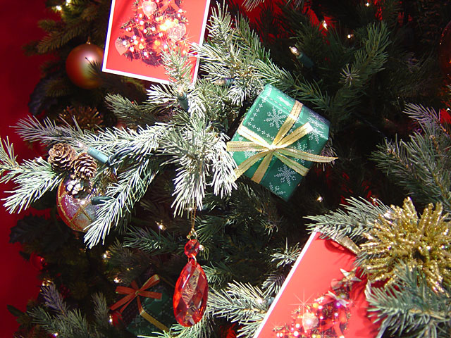 Xmas�@���𑜓x�ʐ^�f��