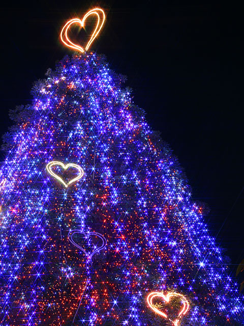 �N���X�}�X�C���~�l�[�V�����ʐ^�f��