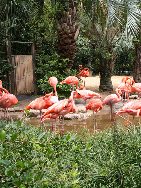 �t���~���S�ʐ^�f��