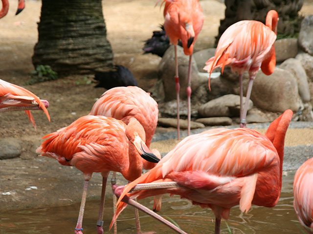 �t���~���S�ʐ^�f��