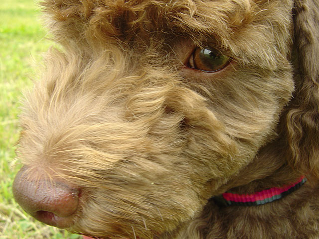 �g�C�v�[�h���ʐ^�f��