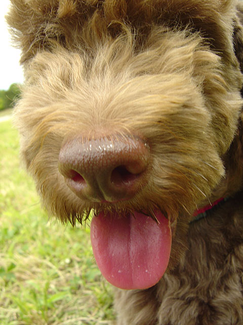 �g�C�v�[�h���ʐ^�f��