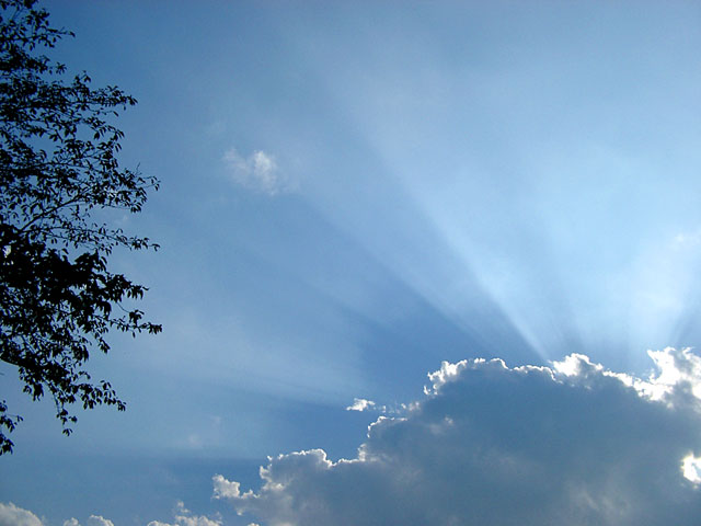 �_�ʐ^�f��