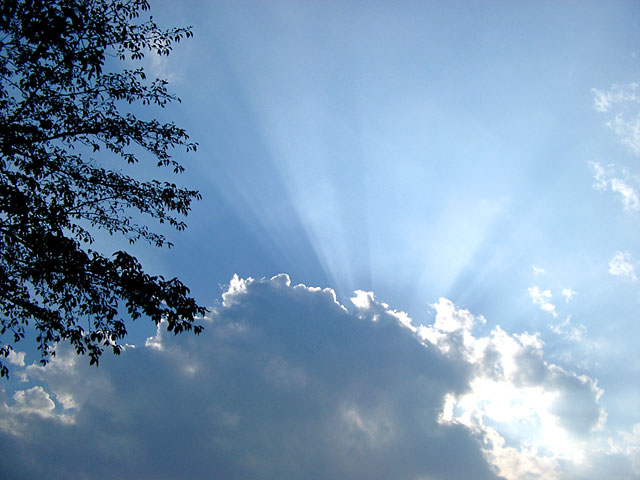 �_�ʐ^�f��