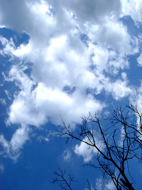 �_�ʐ^�f��