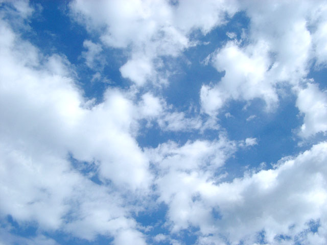 �_�ʐ^�f��