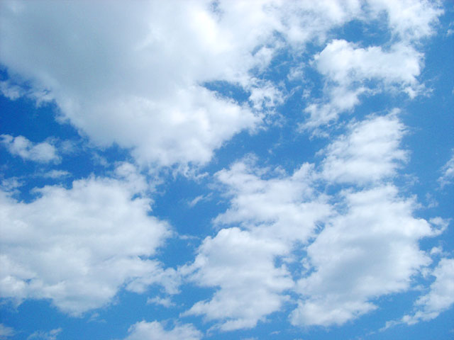 �_�ʐ^�f��