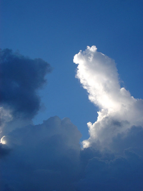 �_�ʐ^�f��