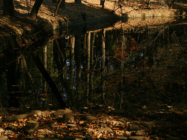 ���؎ʐ^�f��