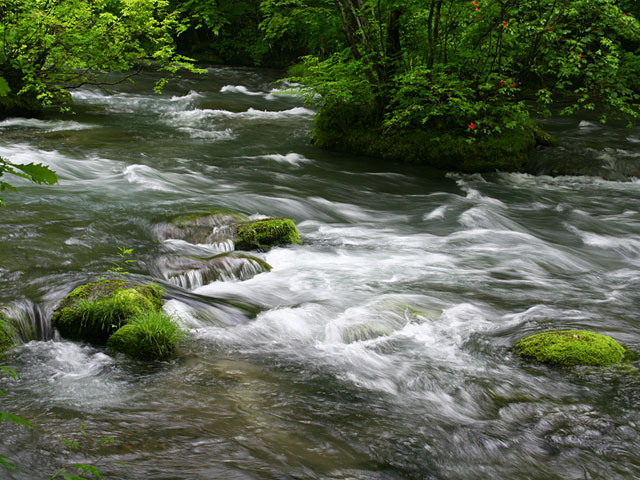 ���؎ʐ^�f��