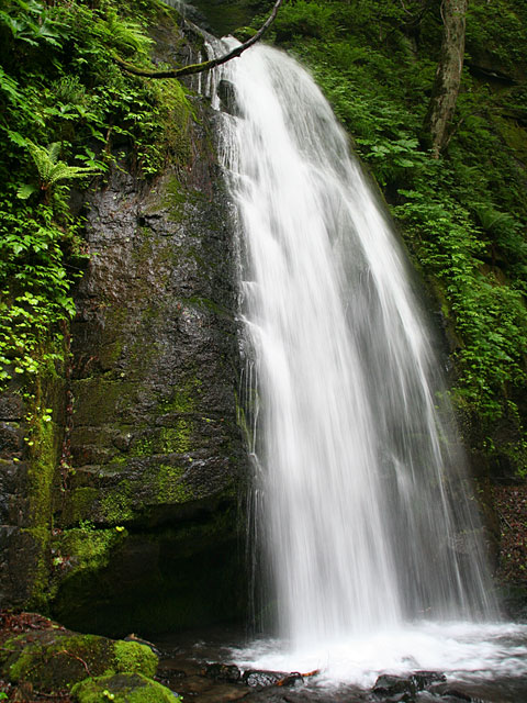 ���؎ʐ^�f��