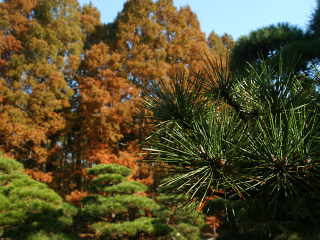 �g�t�@�@���𑜓x�ʐ^�f��