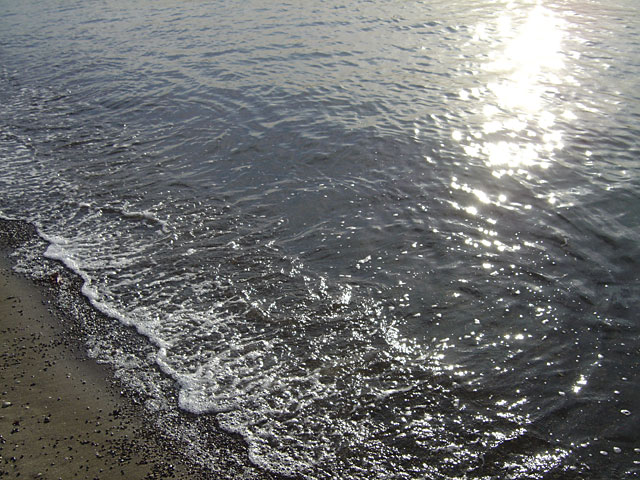 �C�ʐ^�f��