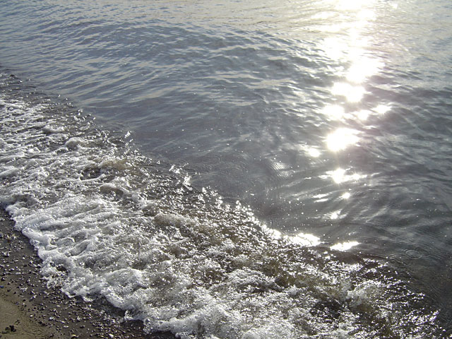 �C�ʐ^�f��