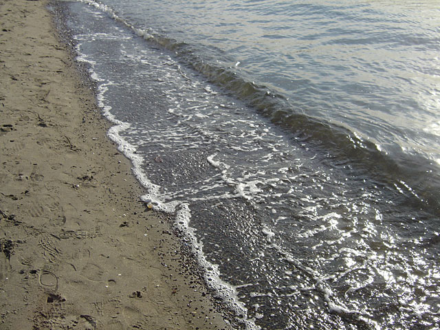 �C�ʐ^�f��