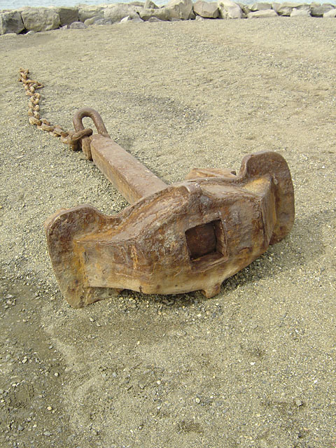 �C�ʐ^�f��