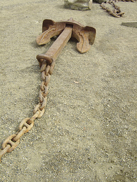 �C�ʐ^�f��