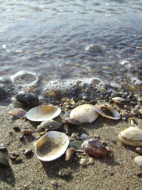 �C�ʐ^�f��