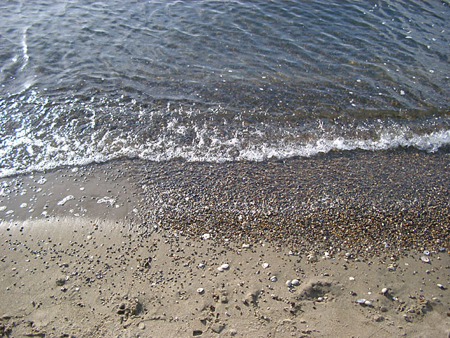 �C�ʐ^�f��