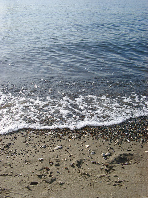 �C�ʐ^�f��