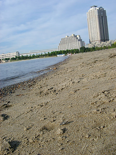 �C�ʐ^�f��